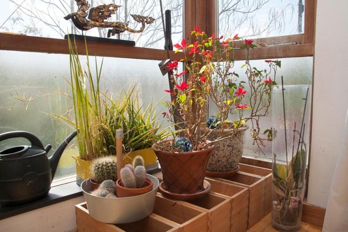 ※ Relaxing Home- Parking & Gorgeous Gardens Бат Экстерьер фото